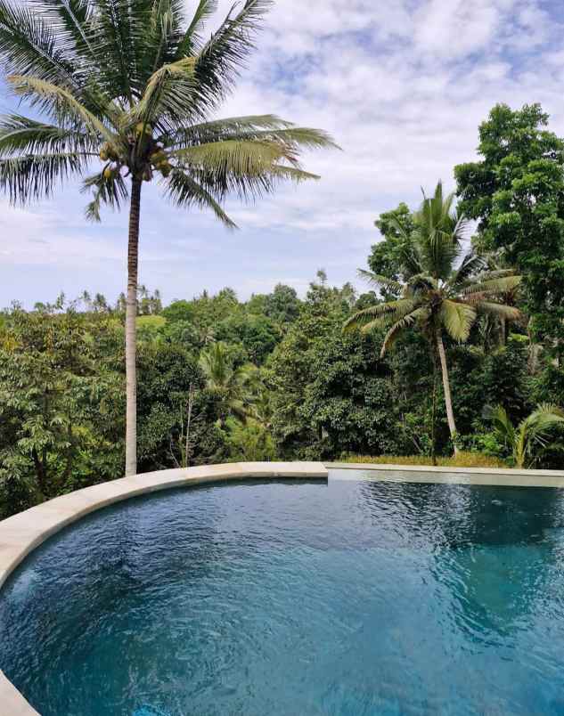 dijual tanah desa bajra kec selemadeg