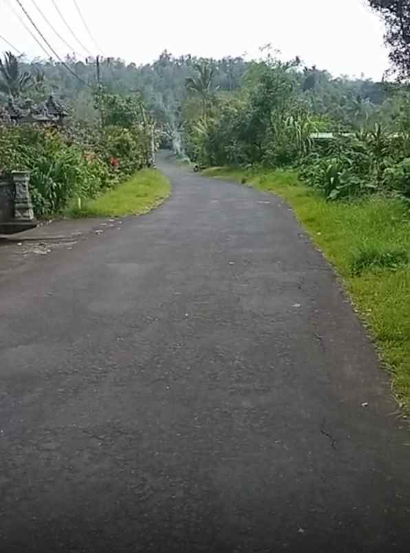 dijual tanah desa bongancina buleleng bali