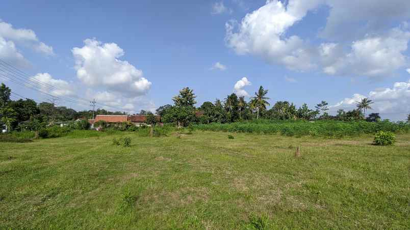 dijual tanah desa kembiritan kec