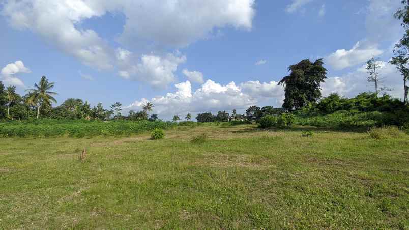 dijual tanah desa kembiritan kec