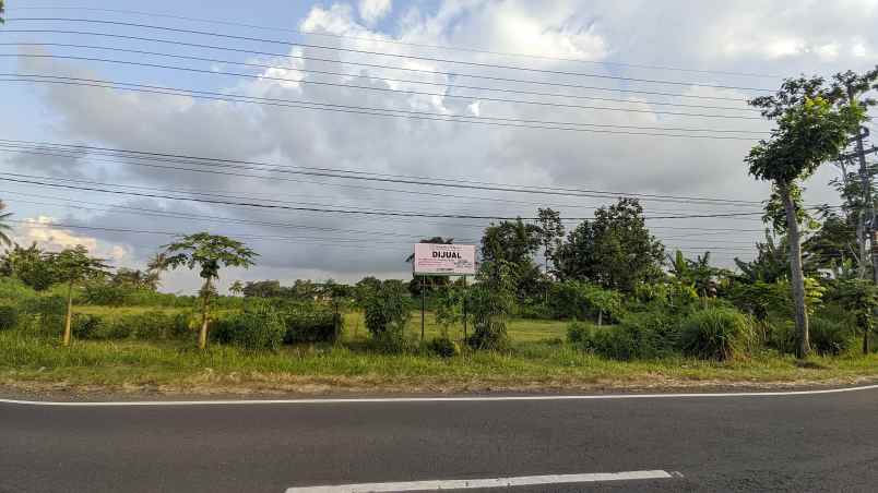 dijual tanah desa kembiritan kec
