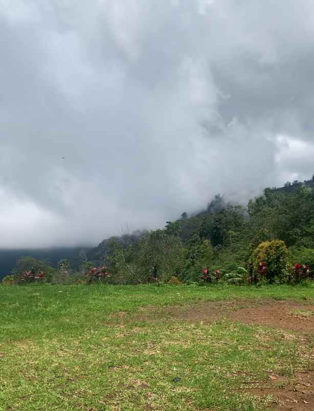 dijual tanah desa lemukih buleleng bali