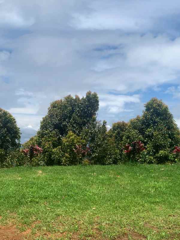 dijual tanah desa lemukih buleleng bali