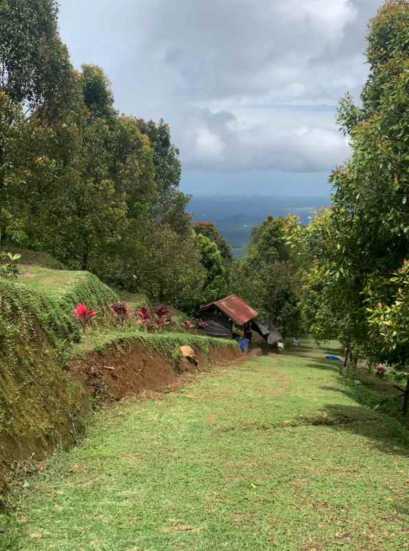 dijual tanah desa lemukih buleleng bali