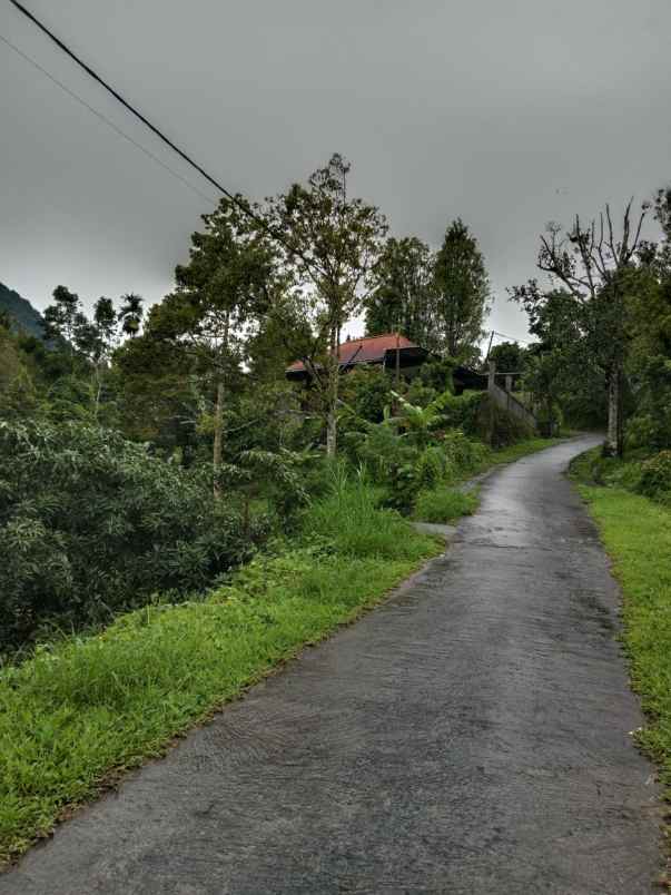 dijual tanah desa lemukih buleleng bali