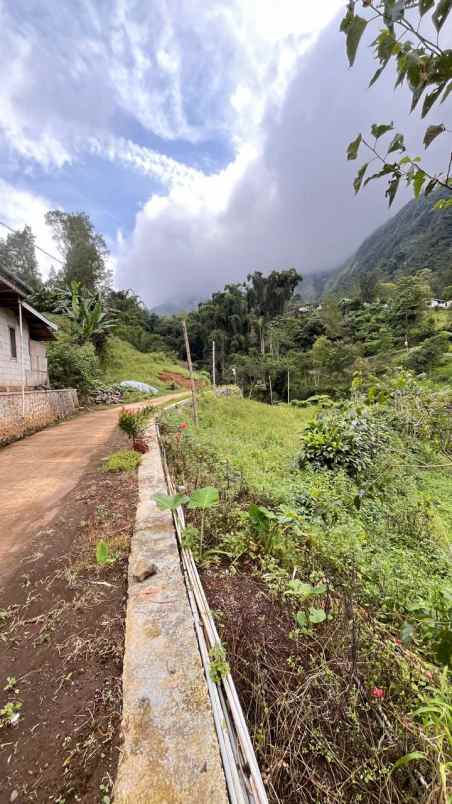 dijual tanah desa sapikerep