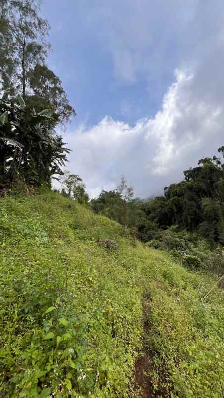 dijual tanah desa sapikerep