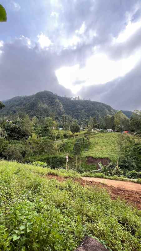 dijual tanah desa sapikerep