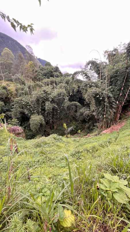 dijual tanah desa sapikerep