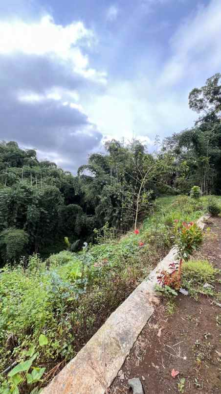 dijual tanah desa sapikerep