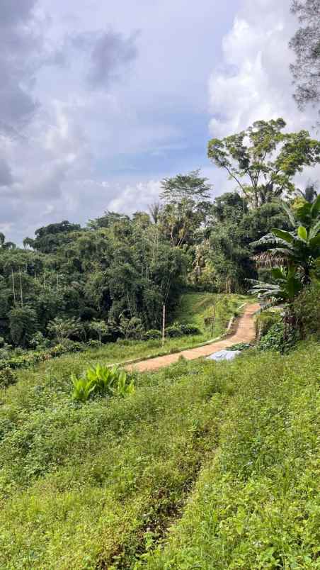 dijual tanah desa sapikerep