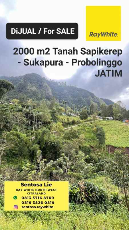 dijual tanah desa sapikerep