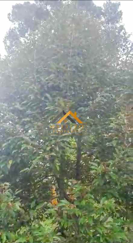 dijual tanah desa tarean kec silinda