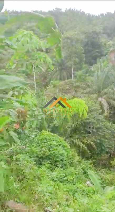 dijual tanah desa tarean kec silinda