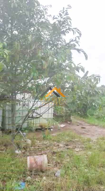 dijual tanah desa tarean kec silinda