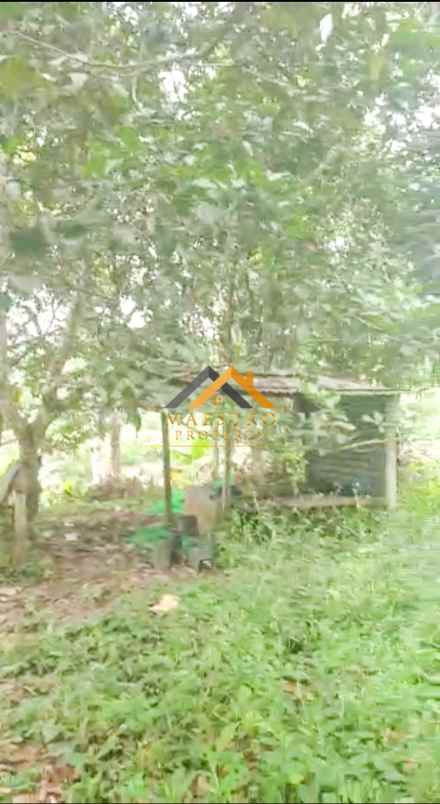 dijual tanah desa tarean kec silinda