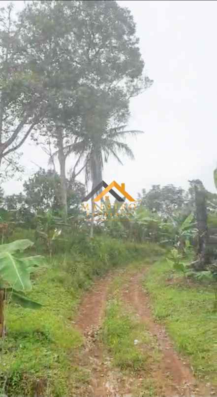 dijual tanah desa tarean kec silinda