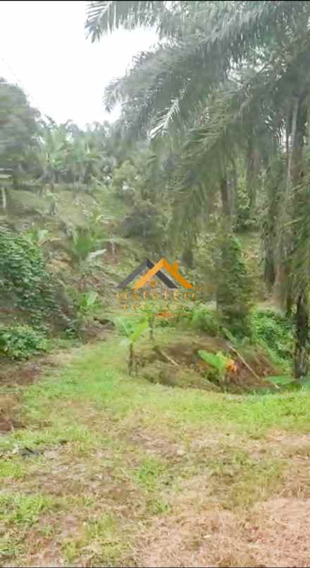 dijual tanah desa tarean kec silinda