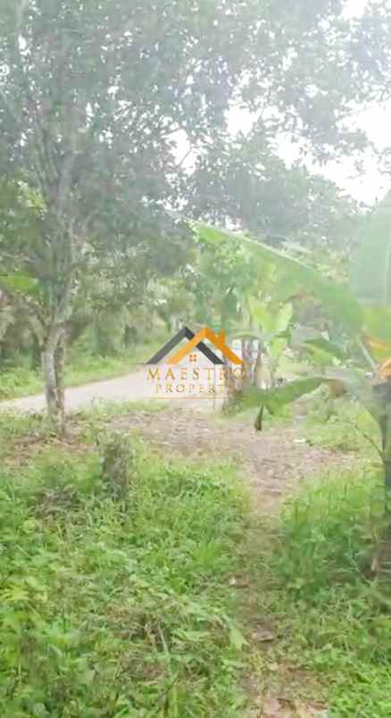 dijual tanah desa tarean kec silinda