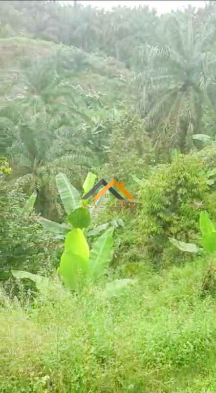 dijual tanah desa tarean kec silinda