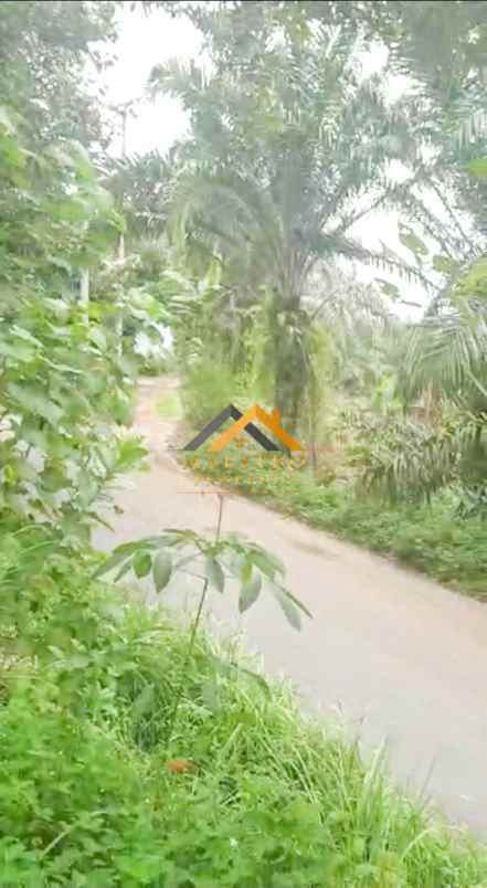 dijual tanah desa tarean kec silinda