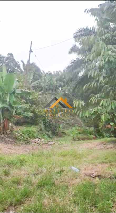 dijual tanah desa tarean kec silinda