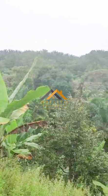 dijual tanah desa tarean kec silinda