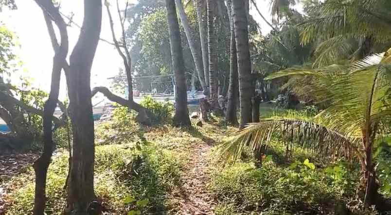dijual tanah desa tejakula buleleng bali
