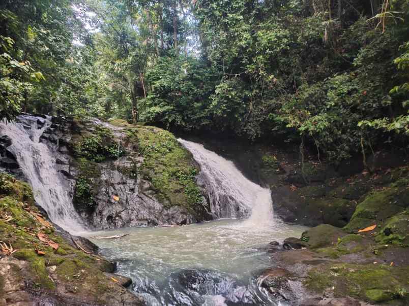 dijual tanah desa wisata dalang