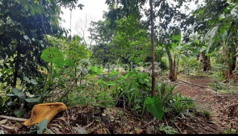 dijual tanah di jln h saleh pamulang