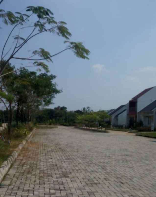 dijual tanah di lebak banten
