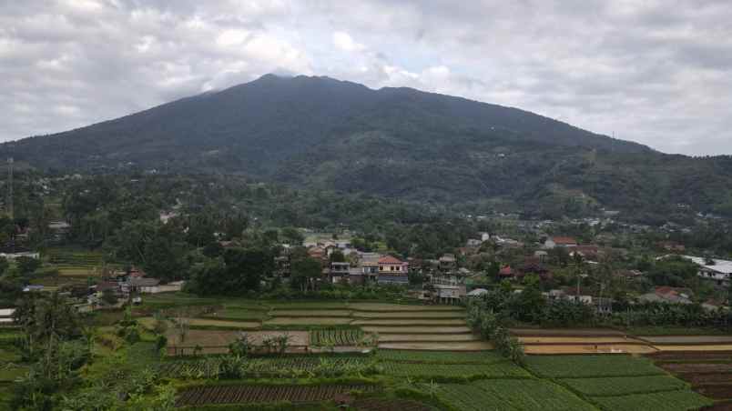 dijual tanah jalan ciburayut cigombong