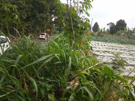 dijual tanah jalan kolonel masturi desa