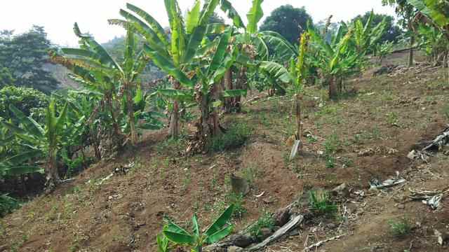 dijual tanah jalan raya lintas sumatera