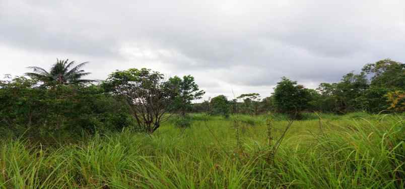 dijual tanah jalan sehan umar