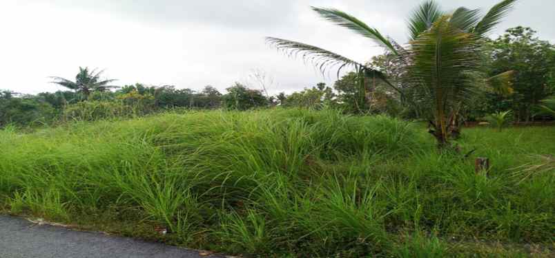 dijual tanah jalan sehan umar