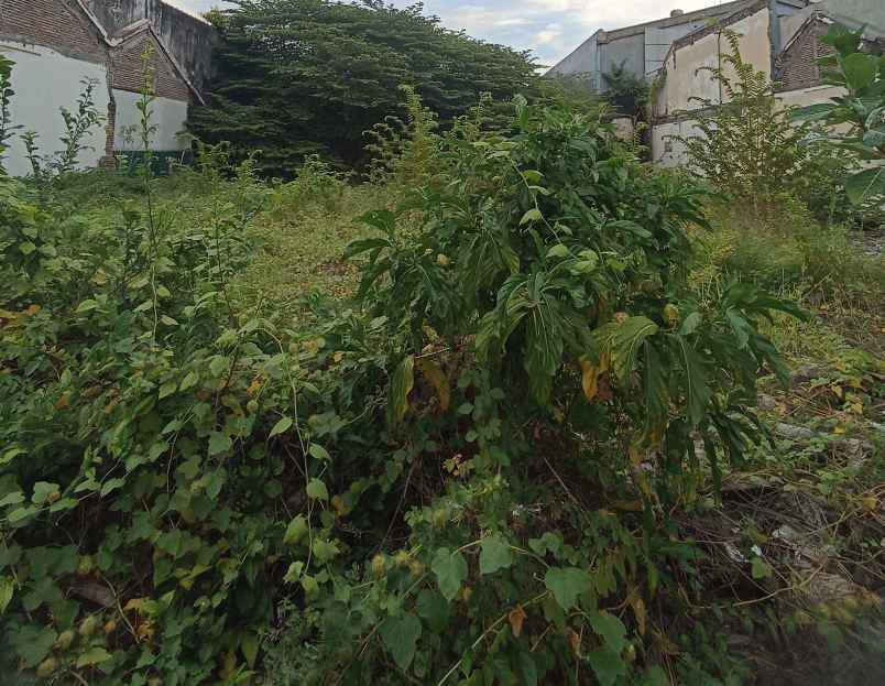 dijual tanah jemursari