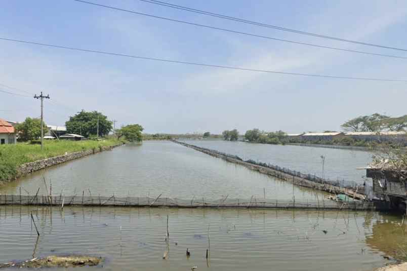 dijual tanah ji raya arteri kaliwungu