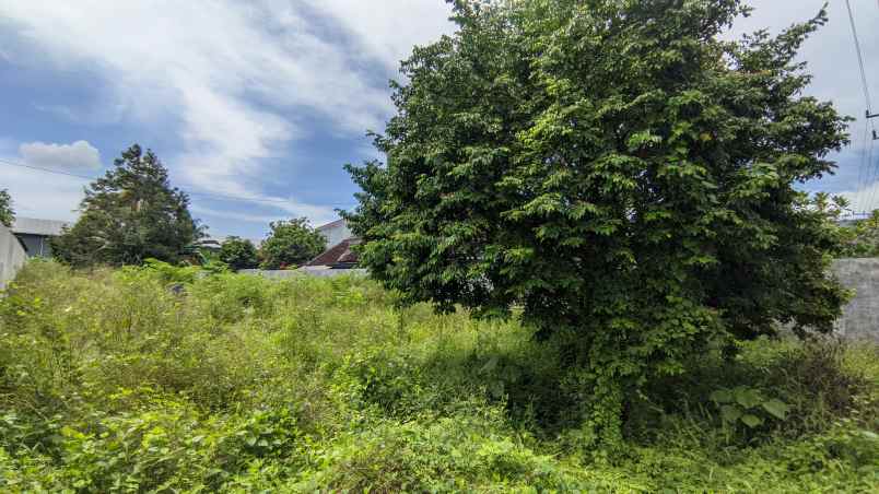 dijual tanah jl nasional iii setail