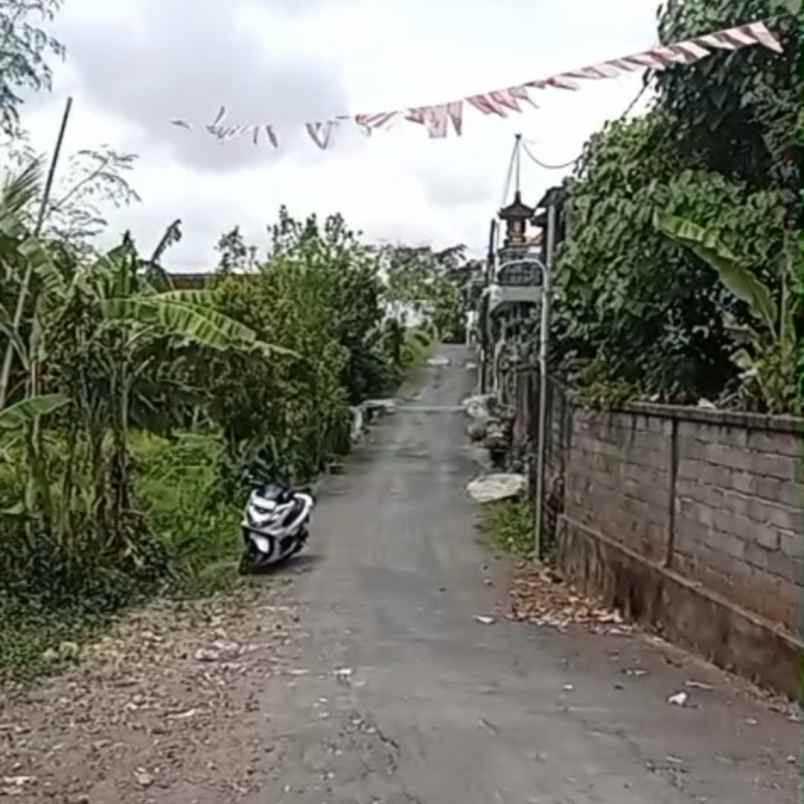 dijual tanah jl trenggana xix