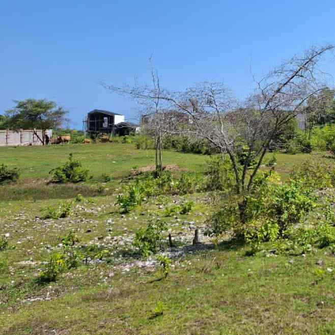 dijual tanah jl tulip ungasan