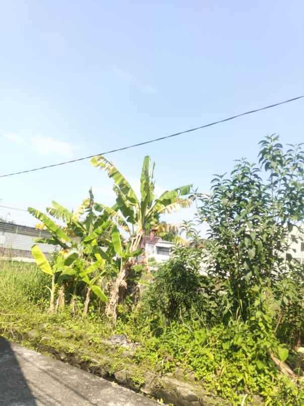 dijual tanah jl wonosari km 8 sekarsuli