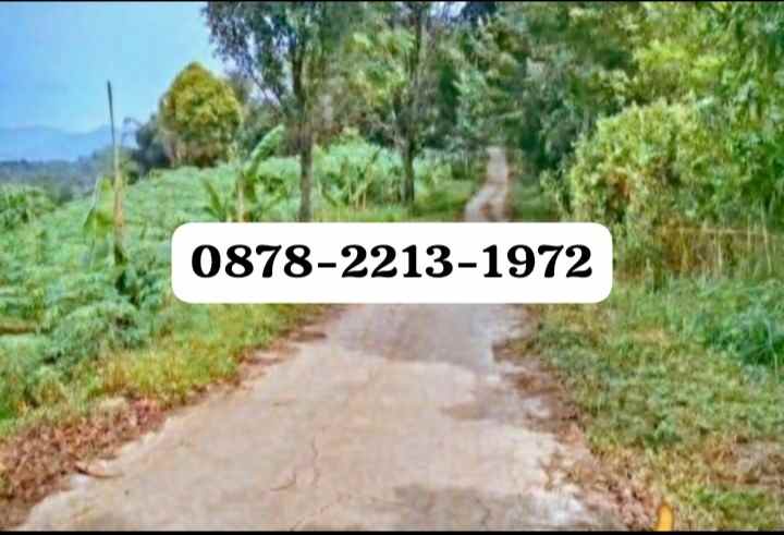 dijual tanah jonggol bogor timur