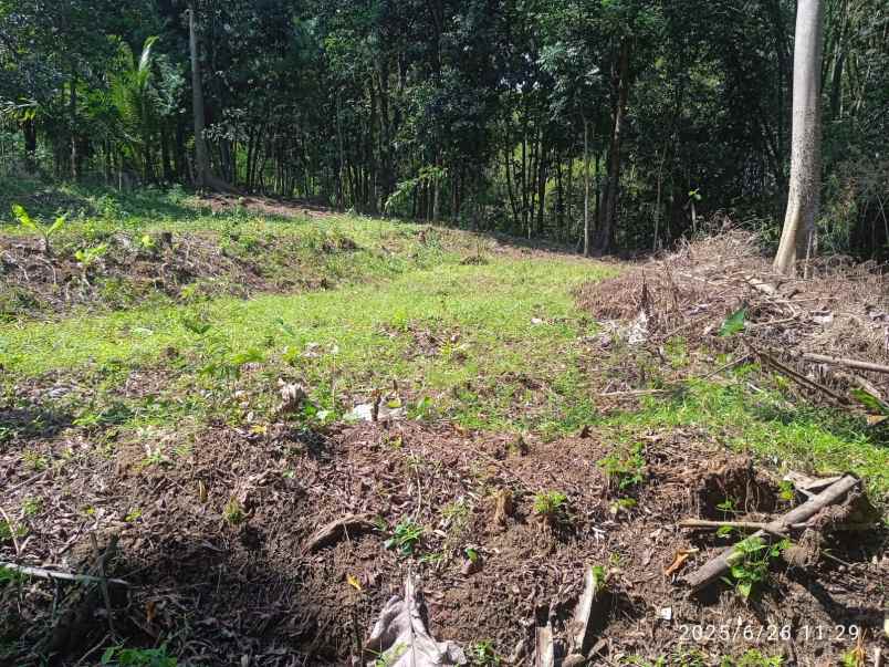 dijual tanah karanganyar solo
