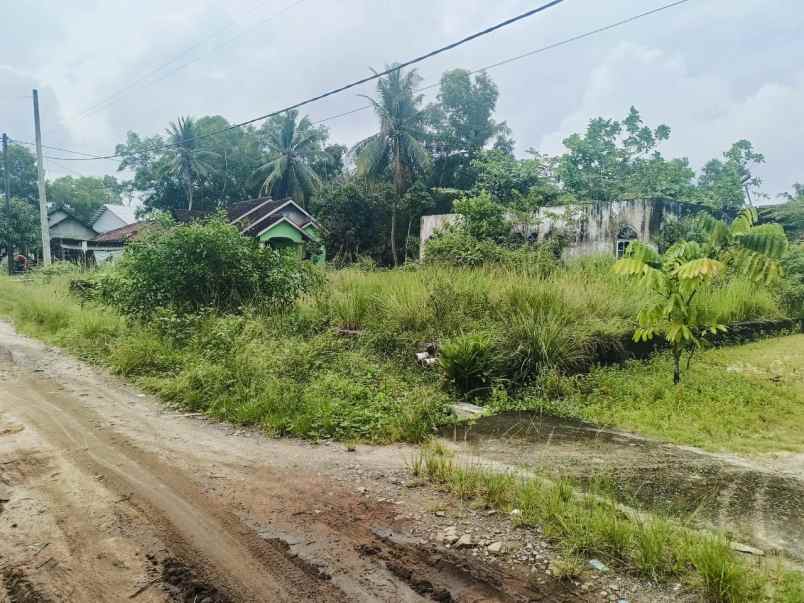 dijual tanah karya tani dusun 8