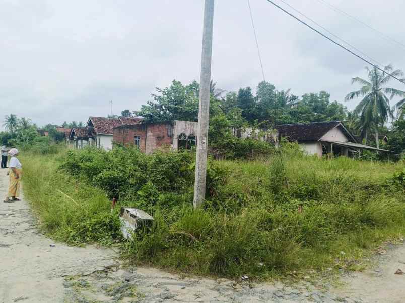 dijual tanah karya tani dusun 8