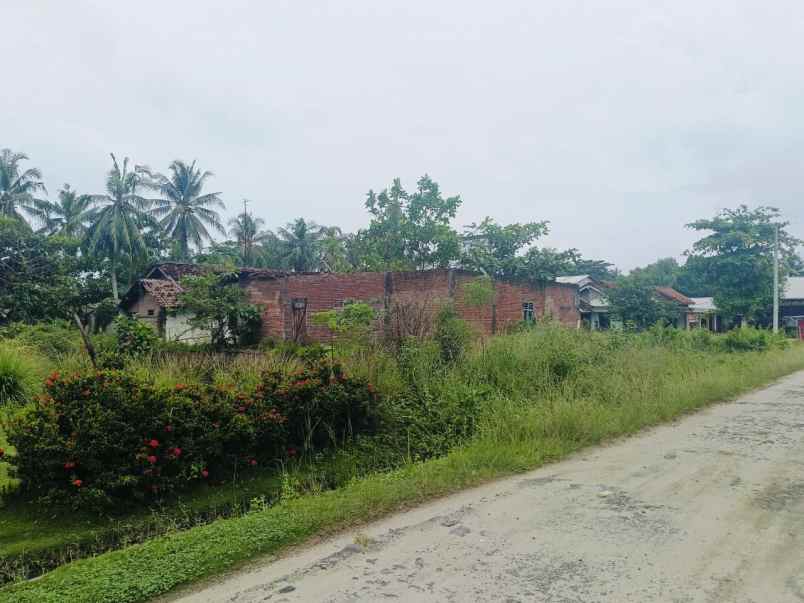 dijual tanah karya tani dusun 8