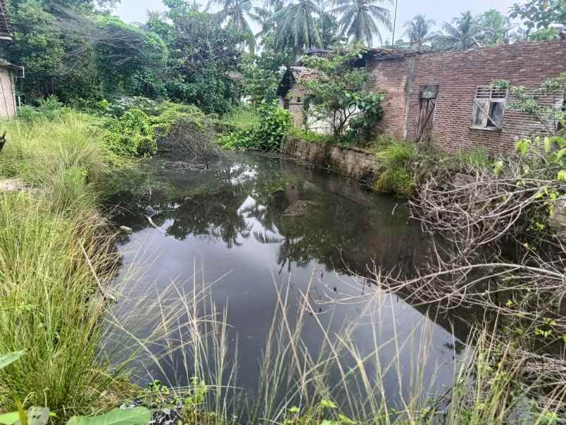 dijual tanah karya tani dusun 8