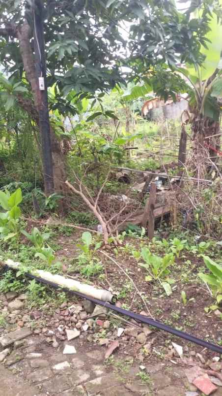 dijual tanah kavling ui timur tanah