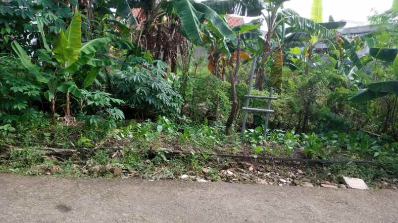 dijual tanah kavling ui timur tanah